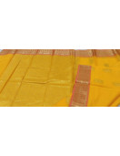 PL BIG BUTTA SAREE