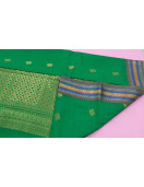 PL BIG BUTTA SAREE