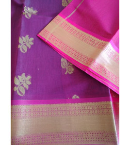 PL BIG BUTTA SAREE