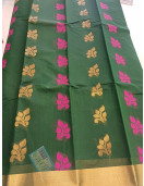 PL BIG BUTTA SAREE