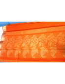 PL BIG BUTTA SAREE