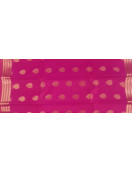 PL BIG BUTTA SAREE