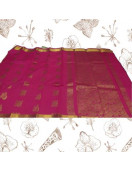 PL BIG BUTTA SAREE