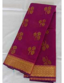 PL BIG BUTTA SAREE