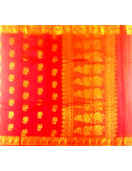 PL BIG BUTTA SAREE