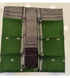 PL Salem Silk Finish Border Saree