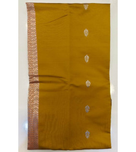 PL Salem Silk Finish Border Saree