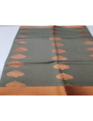 PL BIG BUTTA SAREE