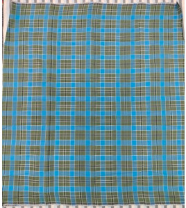 LUNGHIES BHUVANAGIRI 250 MTS