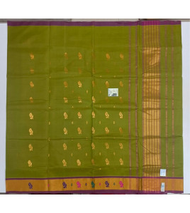SAREES CUDDALORE COTTON 550 MTS