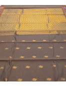 PL BIG BUTTA SAREE
