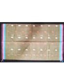 SAREES NEGAMAM WITH BLOUSE