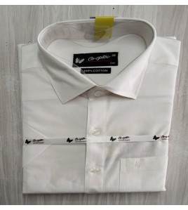 PL READYMADE WHITE 38 HF