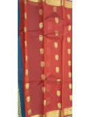 PL BIG BUTTA SAREE