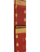 PL BIG BUTTA SAREE