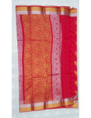 PL BIG BUTTA SAREE