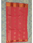 PL BIG BUTTA SAREE