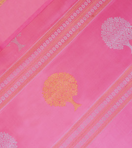 SALEM SILK SAREE WITH BLOUSE