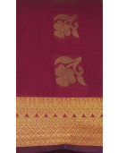 PL BIG BUTTA SAREE