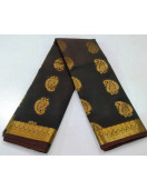PL BIG BUTTA SAREE