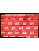 PL BIG BUTTA SAREE