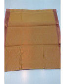 PL BIG BUTTA SAREE