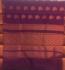 PL BIG BUTTA SAREE