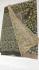 KALAMKARI PRINTED COTTON SAREE