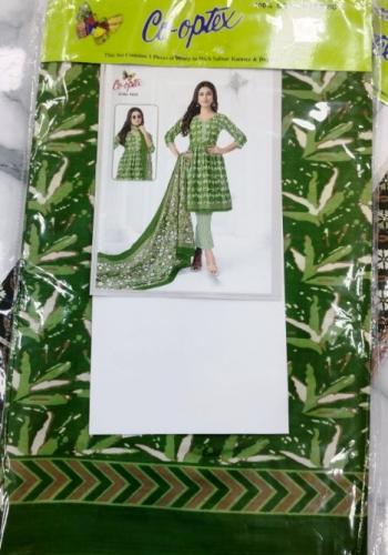 PL PRINTED CHUDIDHAR