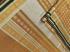 80SX80S PMK 1000 BUTTA COTTON SAREES