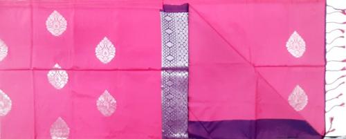 PL Softee Saree