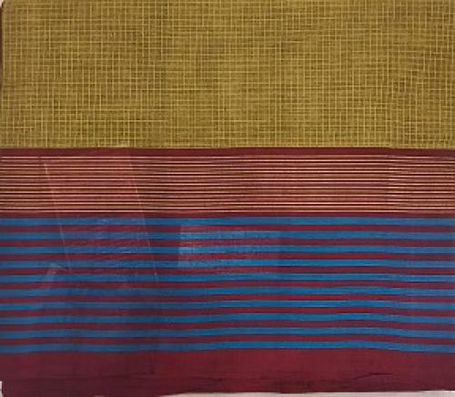 SAREES NEGAMAM WITH BLOUSE