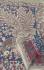 KALAMKARI PRINTED COTTON SAREE