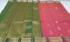 POWERLOOM BIG BUTTA SAREE