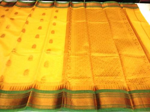 PL BIG BUTTA SAREE