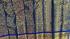THIRUBHUVANAM HF ZARI SILK SAREE WITH BLOUSE