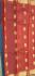PL BIG BUTTA SAREE