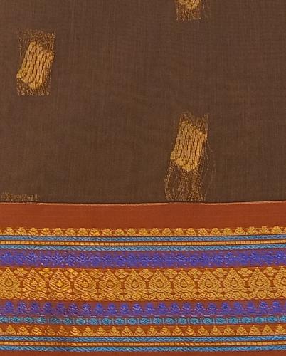 PL BIG BUTTA SAREE