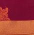 PL BIG BUTTA SAREE