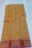 PL BIG BUTTA SAREE