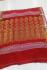 PL BIG BUTTA SAREE