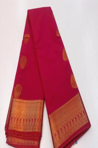 PL BIG BUTTA SAREE