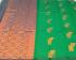 PL BIG BUTTA SAREE