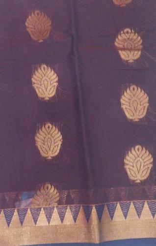PL BIG BUTTA SAREE