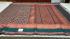 80SX80S PMK 1000 BUTTA COTTON SAREES