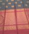 PL Softee Saree