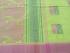 SAREES SALEM 80S WITH BLOUSE